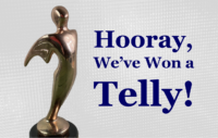 Graphic showing a telly statue with the text, "Hooray, We've Won a Telly!"